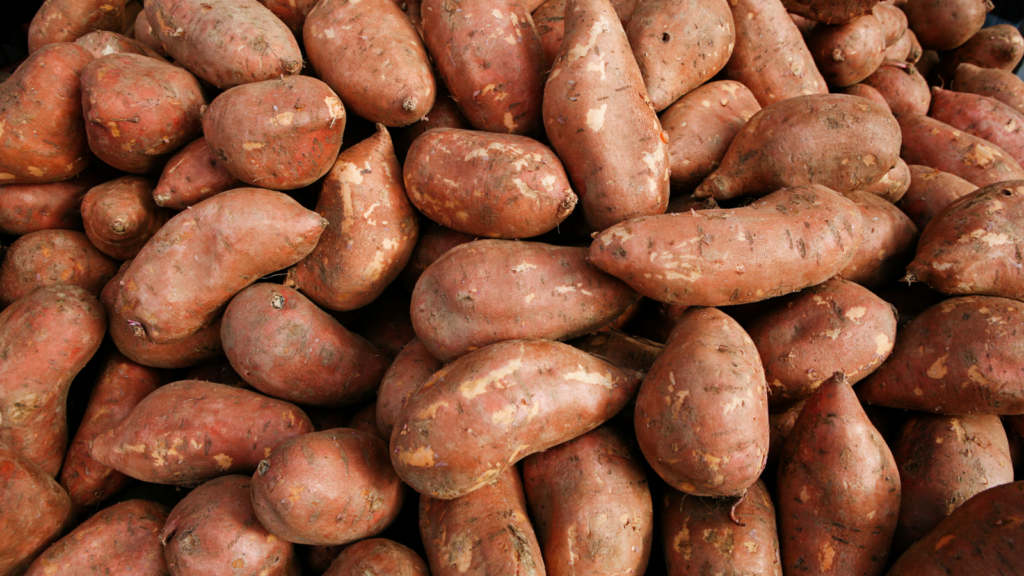 Gelagerte Süßkartoffeln