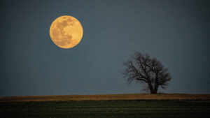 Nacht mit Mond, wenn das Schlafhormon ausgeschüttet wird