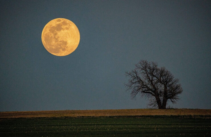 Nacht mit Mond, wenn das Schlafhormon ausgeschüttet wird