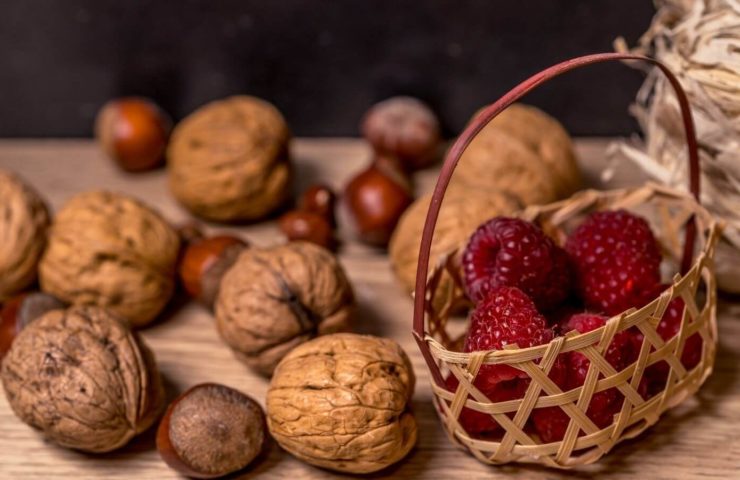 Walnüsse und Himbeeren als Brainfood