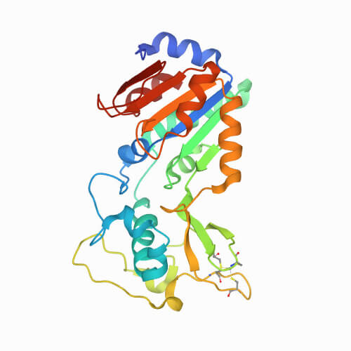 Sirtuine: Molekulare Struktur von Sirt5 des Menschen