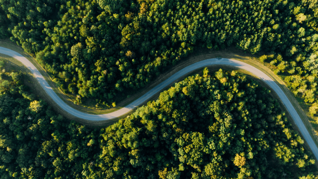 Drohnenaufnahme einer Straße im Wald