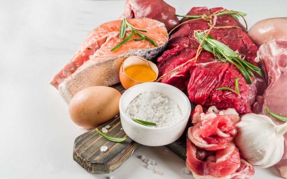 Carnivore Diät Ist das die wahre Paleo Ernährung? Primal State