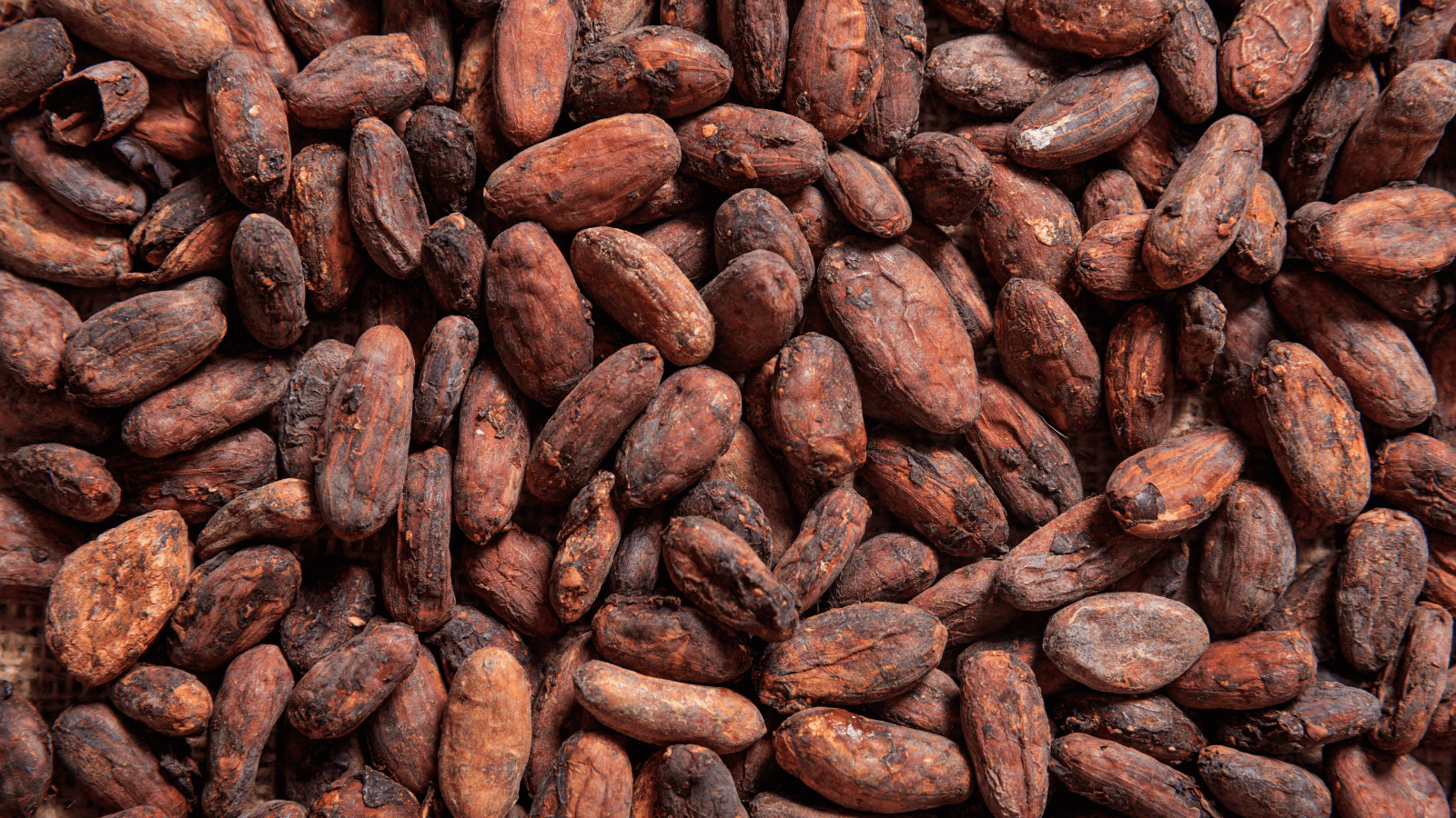 Braune Kakaobohnen