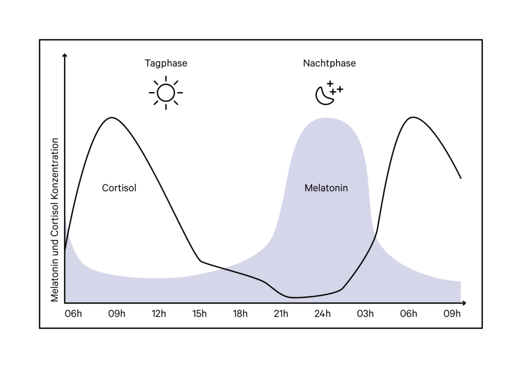 Melatonin und Cortisol im Tagesverlauf