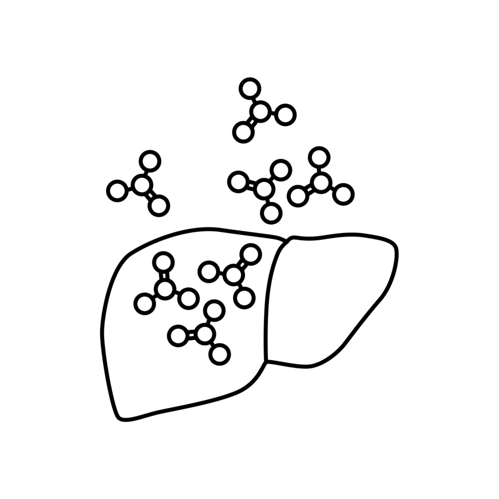 Ketogenese