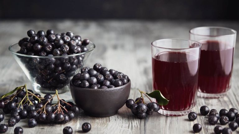 Aroniabeeren als Quelle von Polyphenolen