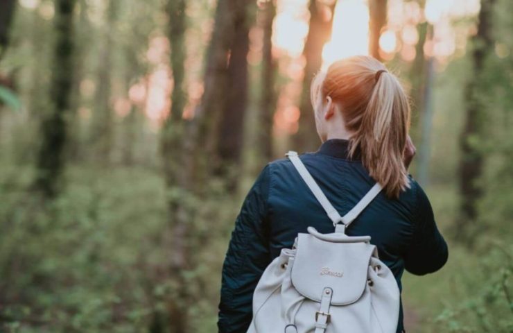 gehmeditation-im-wald