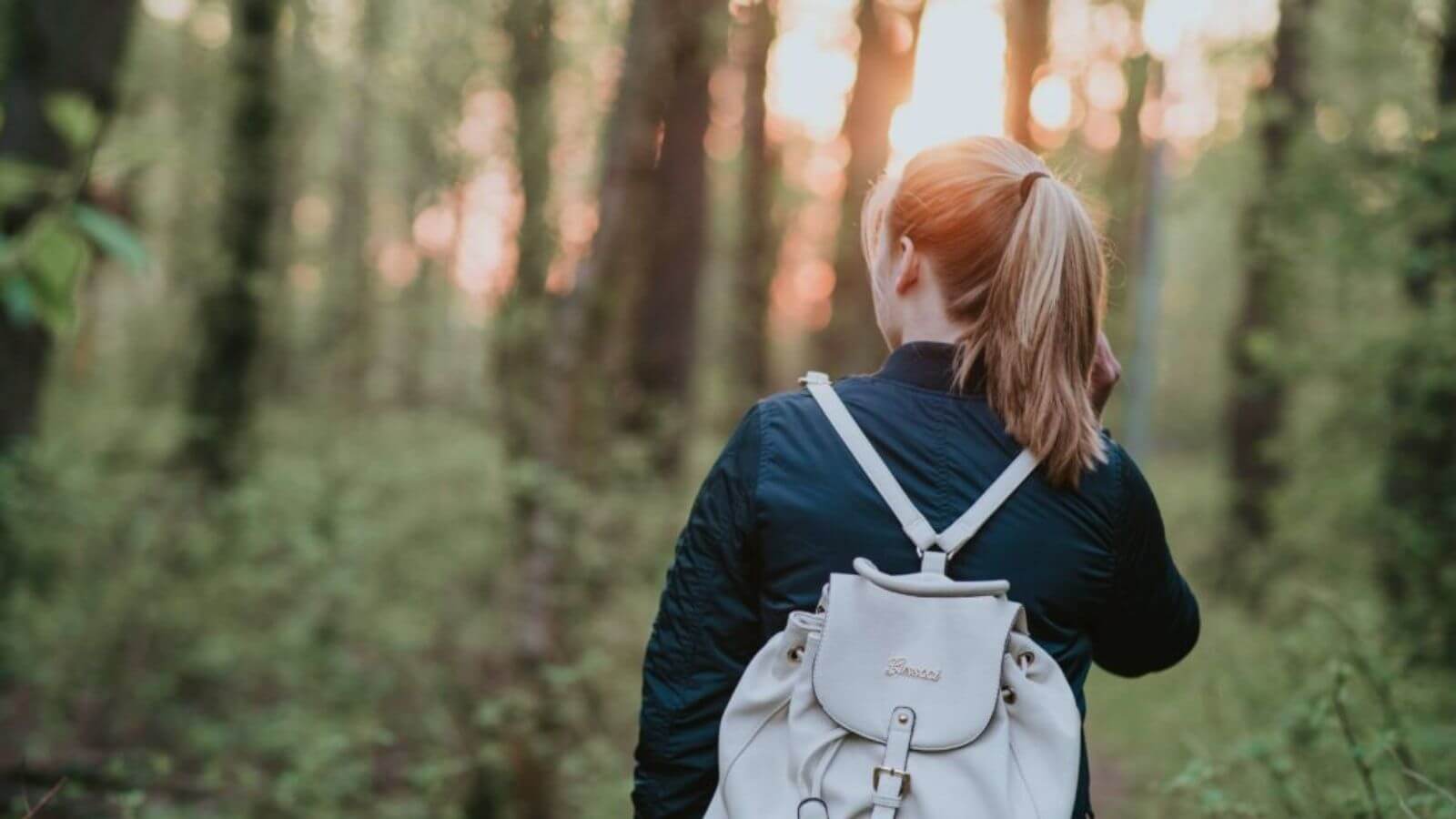 gehmeditation-im-wald