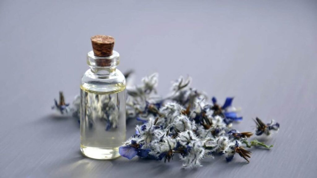 Lavendel als weiterer Inhaltsstoff beim Melatonin kaufen